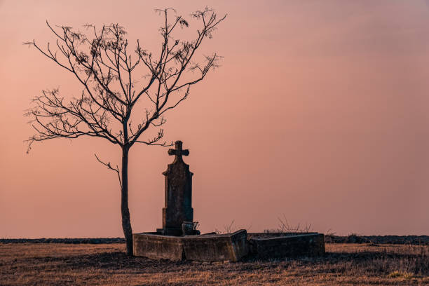 tombe isolée et ancienne abandonnée dans un champ au crépuscule. une croix de pierre tombale et un arbre d’hiver nu. paysage déprimant et triste. - bare tree tree single object loneliness photos et images de collection