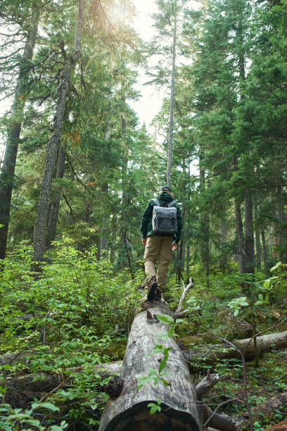 istock Shot of a young man walking on a tree log with backpack 1488453253