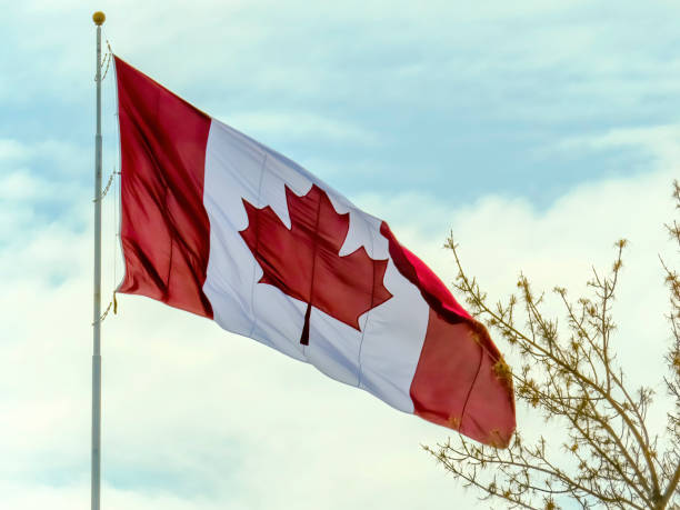 istock A waving Canada flag on a windy day. 1488457004