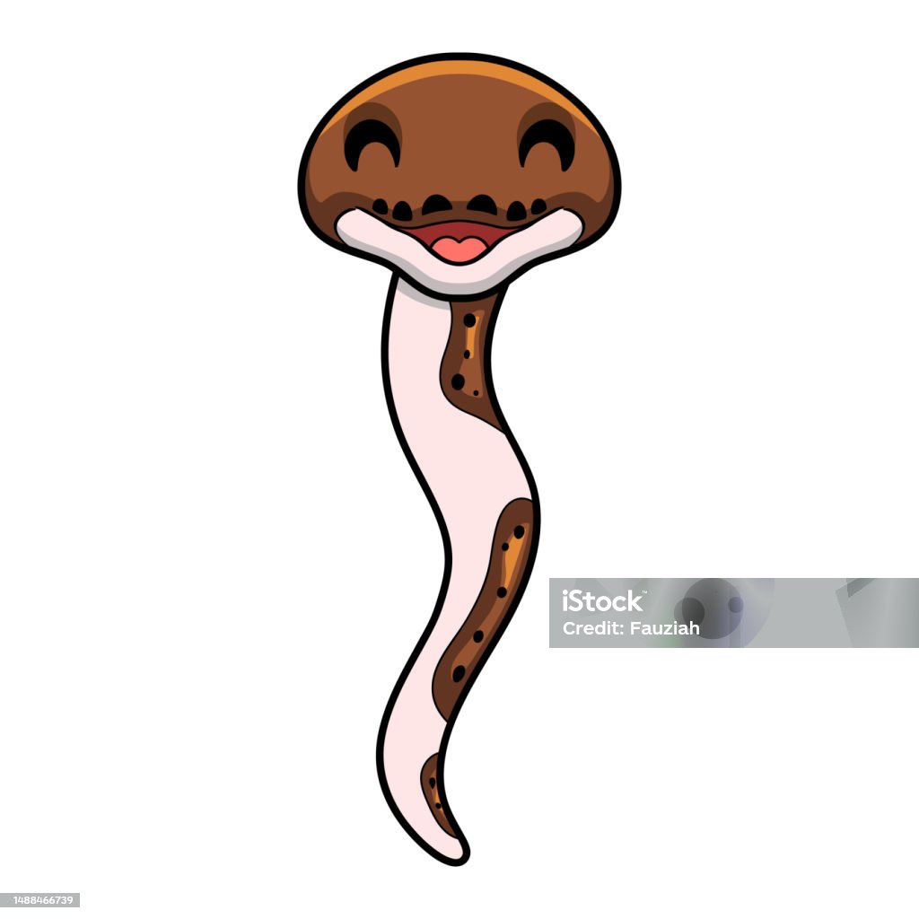 Cartoon Vector Retuilated Python Cute Pied Reticulated Python Cartoon Stock Illustration - Download ...