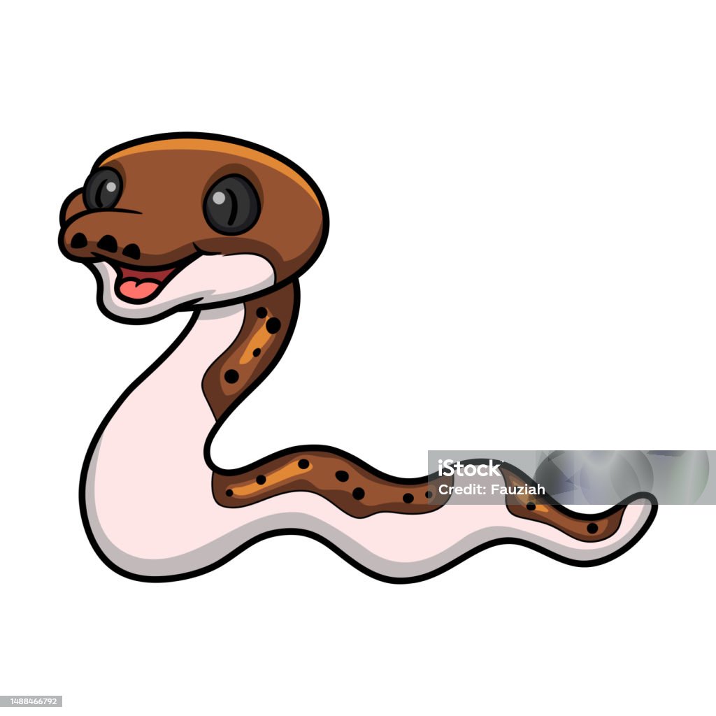 Cartoon Vector Retuilated Python Cute Pied Reticulated Python Cartoon Stock Illustration - Download ...