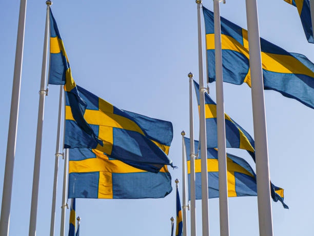 istock Low angle view of flags against clear sky 1488468871
