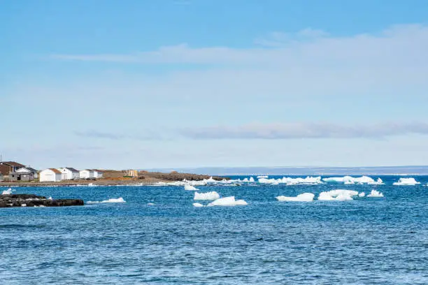 Photo of Icebergs on Green Island Cove, Newfoundland and Labrador, Canada