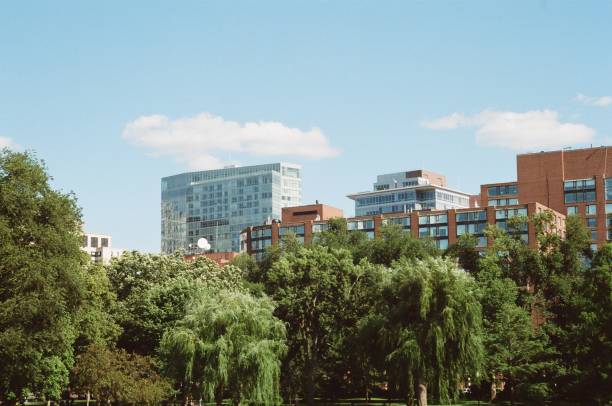 istock City Of Boston Over the Trees 1488470830