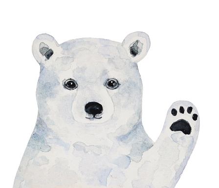 Hand painted water color sketchy drawing on white background, cut out clipart element for design decoration.