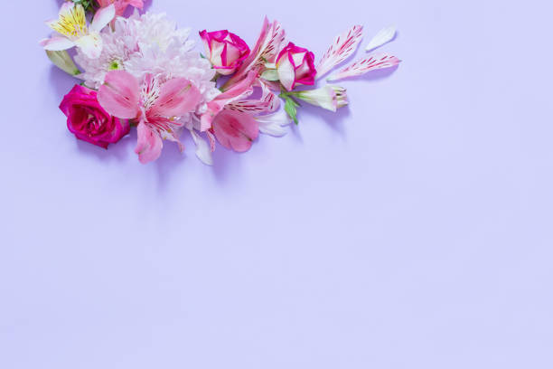 istock alstroemeriaand chrysanthemums  flowers on violet  background 1488477708