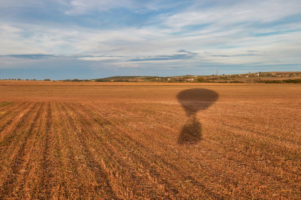 Hot air balloon shadow on grass.