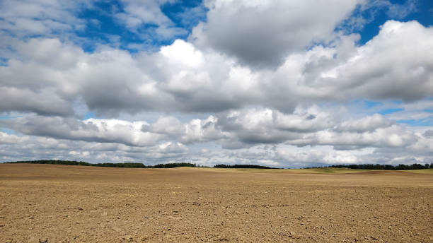 White clouds on the blue sky over plowed field