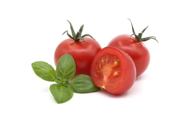 istock Cherry tomatoes with basil leaves isolated on white 1488485730