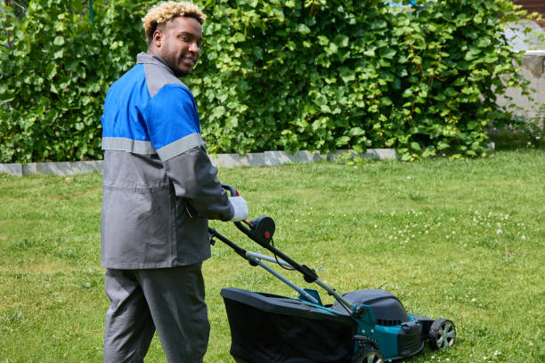 istock Black man uses a lawn mowing machine in his backyard. 1488489723