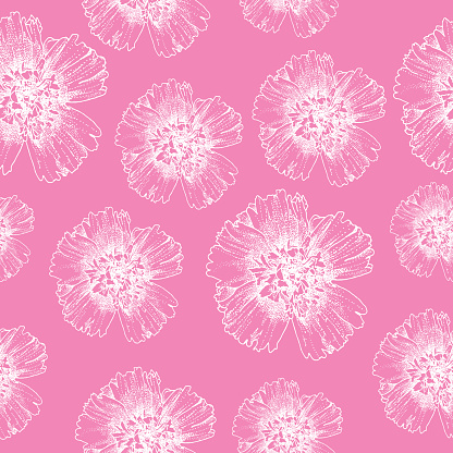 Vector seamless pattern of white hollyhocks on a pink background.