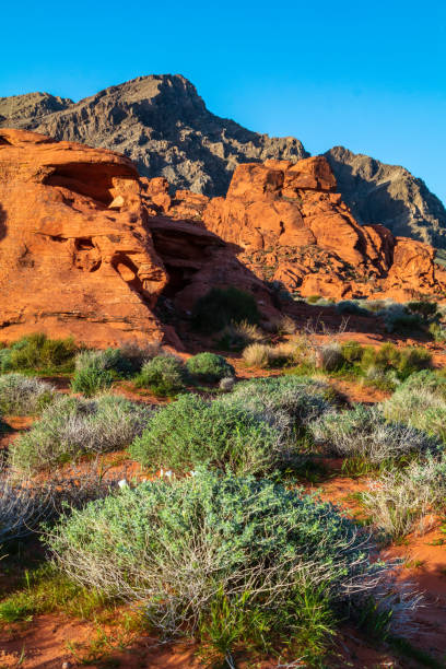 Red rock formations of the scenic desert landscape located in the Valley Of Fire State Park, Nevada, USA.