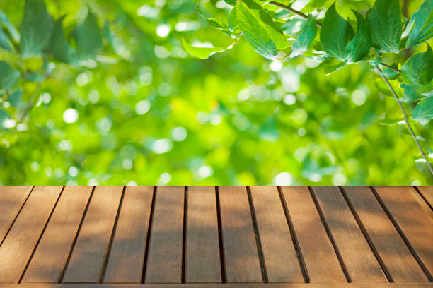 istock wooden table with forest bokeh background 1488493917