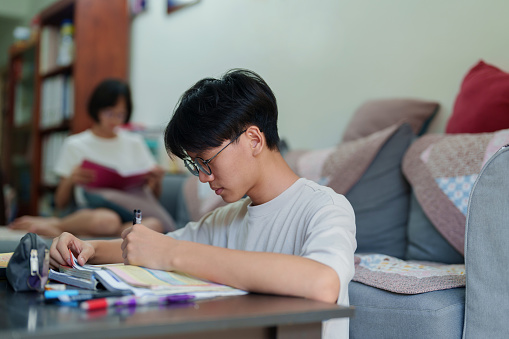 The teenage Asian boy and girl are diligently studying at home, dedicating their time and focus to exam preparation and completing their homework assignments.