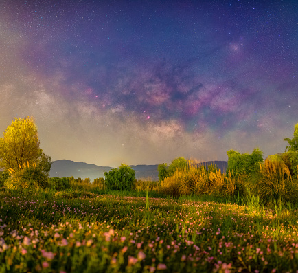 milky way in qionghai lake with flowers