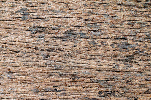 Texture of dry wooden planks for background