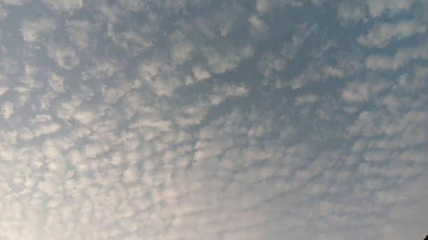 The morning sky The cloudy morning sky lined up like sheep marching stratosphere meteorology climate air stock pictures, royalty-free photos & images