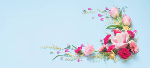 istock beautiful spring flowers on blue background 1488507528