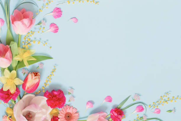 istock beautiful spring flowers on blue background 1488507530