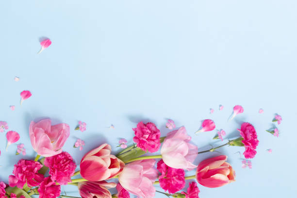 istock beautiful spring flowers on blue background 1488507541