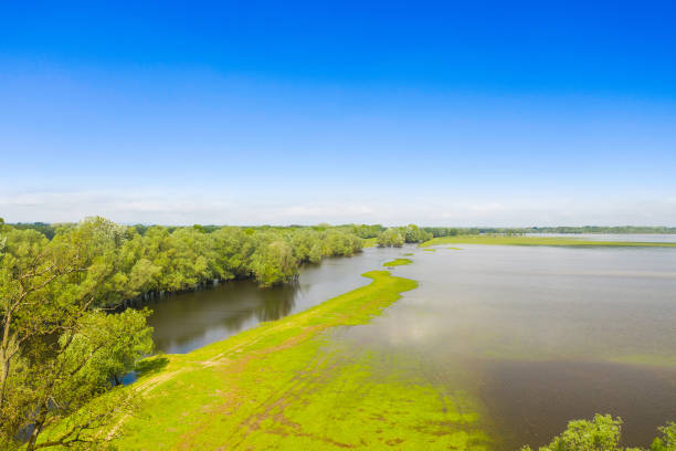 природный парк lonjsko поле, хорватия - coastline aerial view forest pond стоковые фото и изображения