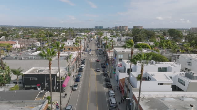 Aerial panoramic footage of boulevard lined by tall palm trees. Cars driving in streets of large city. Los Angeles, California, USA
