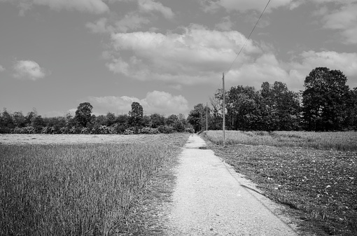 Country Road