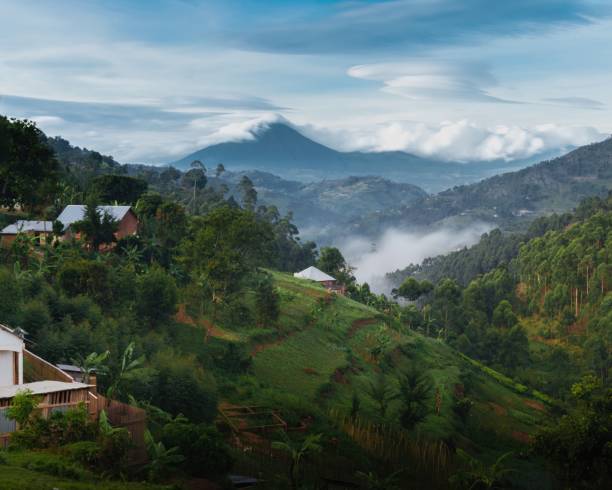 wulkany virunga - virunga national park zdjęcia i obrazy z banku zdjęć