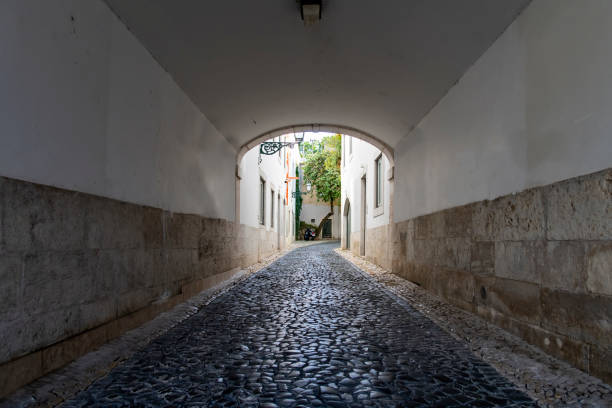 View over a narrow cobblestone archway street under residential historic houses in Lisbon, Portugal with some houses, scooter and tree visible at end of cobblestone street