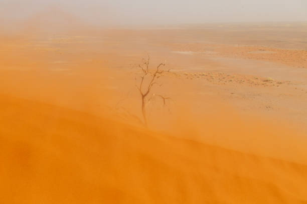 istock Sossusvlei in a sandstorm 1488524919