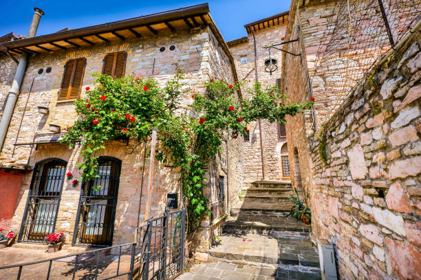 une belle ruelle avec un escalier et des roses en fleurs dans la ville médiévale d’assise en ombrie - rose window assisi wall umbria photos et images de collection