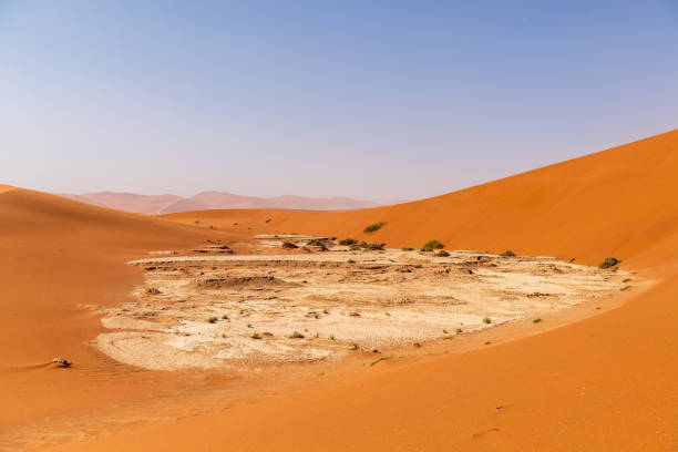 istock Desert landscape near Sossusvlei 1488529864