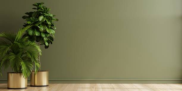 istock Green wall empty room with plants on a floor. 1488536271