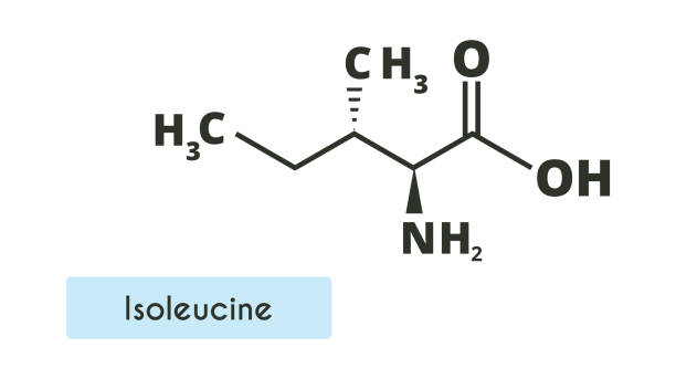 struktura cząsteczki izoleucyny. - s stock illustrations