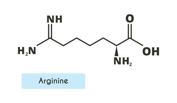 struktura cząsteczki argininy. - molecule amino acid arginine molecular structure stock illustrations