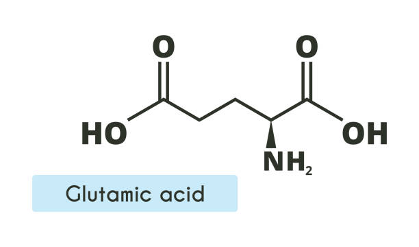 struktura cząsteczki kwasu glutaminowego. - s stock illustrations
