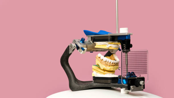 istock Gypsy model with veneers and crowns in articulator 1488540867
