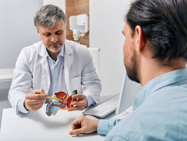 lekarz urolog konsultujący pacjenta z zapaleniem gruczołu krokowego, wyjaśniając mu metody leczenia z wykorzystaniem anatomicznego modelu męskiego układu rozrodczego. leczenie zapalenia gruczołu krokowego - prostate cancer zdjęcia i obrazy z banku zdjęć