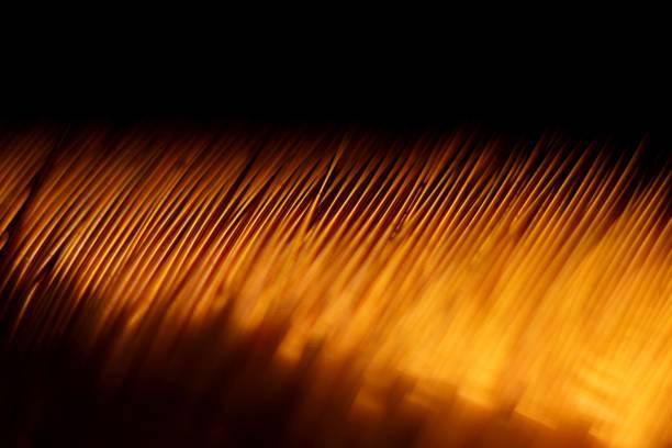 istock coil of copper wire 1488544250