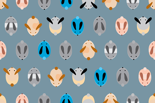 Blue Rabbit Pattern Desktop Background Illustration Pattern Of Rabbits Group With Blue Background Stock ...