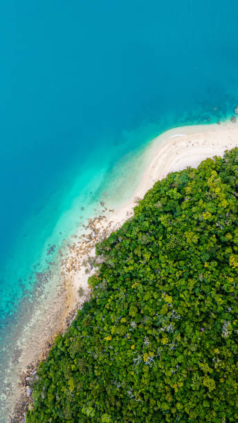 istock Beautiful Port Douglas 1488546413