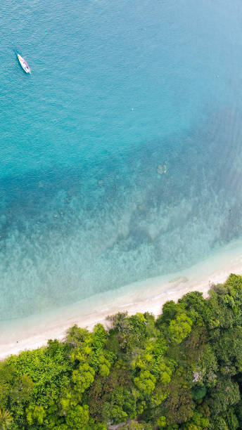istock Beautiful Port Douglas 1488546427