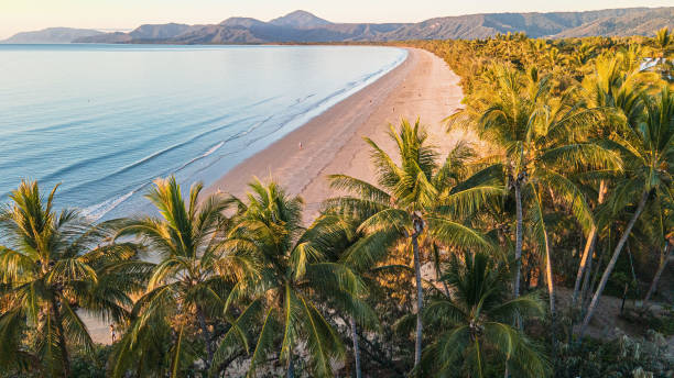 piękny wschód słońca port douglas - rainforest forest river australia zdjęcia i obrazy z banku zdjęć