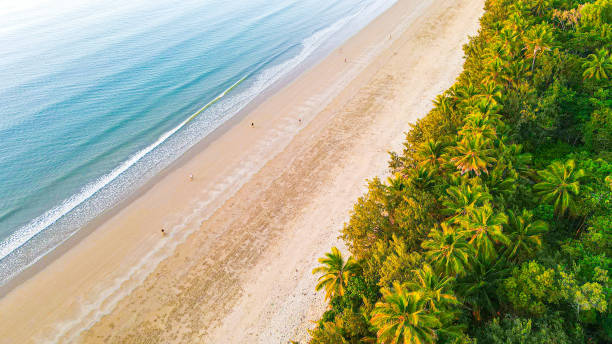 istock Beautiful Port Douglas Sunrise 1488547770