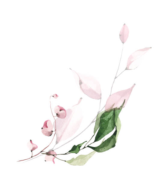 istock Greenery arrangement watercolor painted. Bouquet with green eucalyptus branches, pink leaves. 1488548804