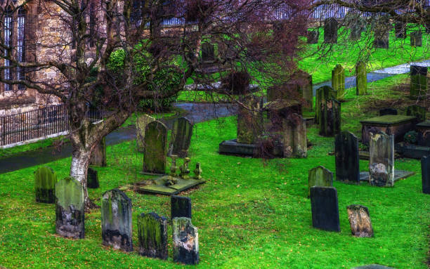 istock Tree and graveyard outside St. Mary's Heritage Centre 1488551330