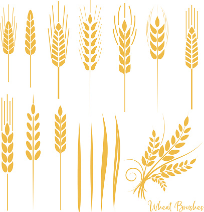 Wheat Brushes. Simple wheat illustrator brushes. They can be found in the brushes palette.