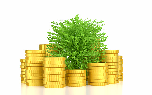 Gold Coins And Plant. Sustainability And Finance Concept.