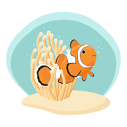 Clownfish and anemone on the sand.
