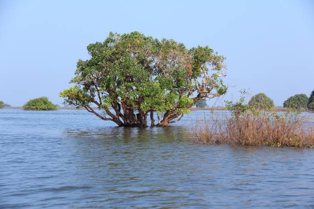 istock Tonle Sap lake in Cambodia 1488554565